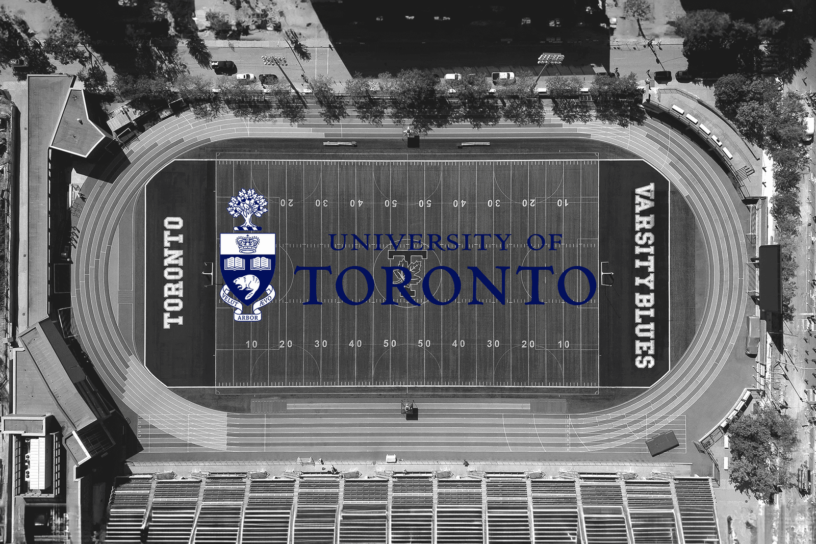 University of Toronto 13 university toronto google varsityfield small bw