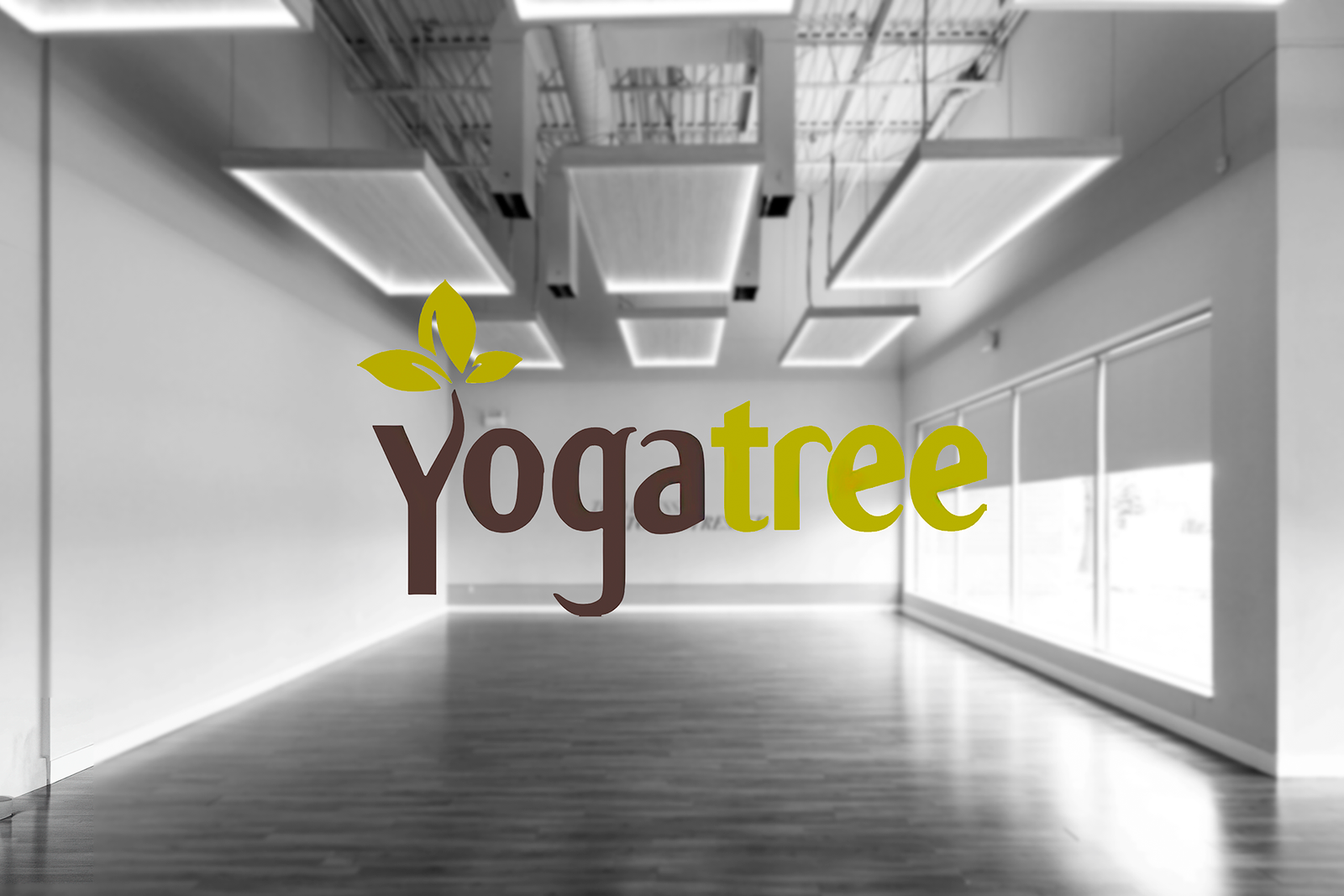 Yoga Tree Studios 17 yoga stuido toronto spa v3